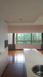 Nassim Regency (D10), Condominium #579275921